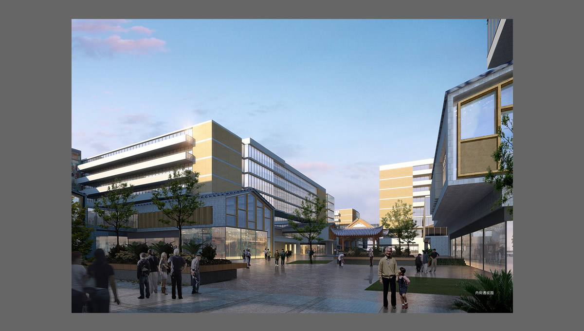 安徽省立醫(yī)院老年醫(yī)學康復中心項目